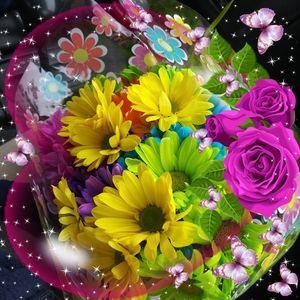 Meet your Posher, Kathy